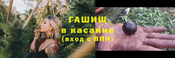 прущие грибы Волоколамск