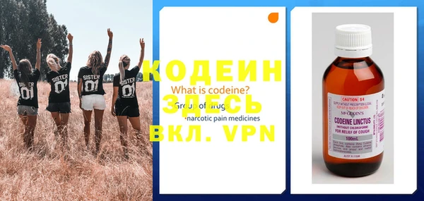 прущие грибы Волоколамск