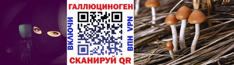 Галлюциногенные грибы мицелий  купить   Ангарск 