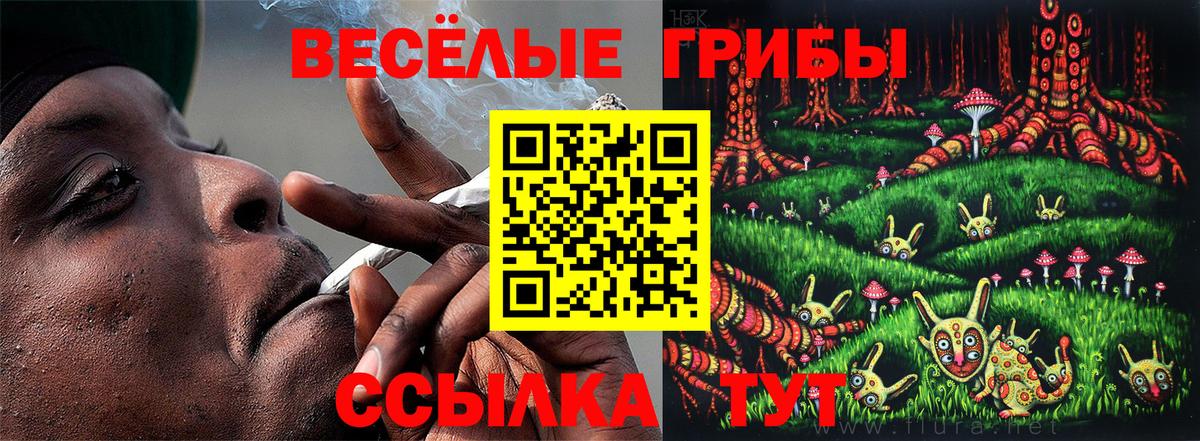Псилоцибиновые грибы MAGIC MUSHROOMS  Вход с VPN  Ангарск  Галлюциногенные грибы GOLDEN TEACHER 