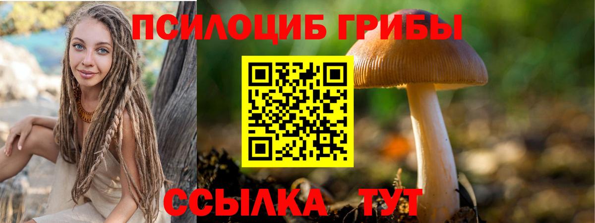 Галлюциногенные грибы Cubensis Ангарск